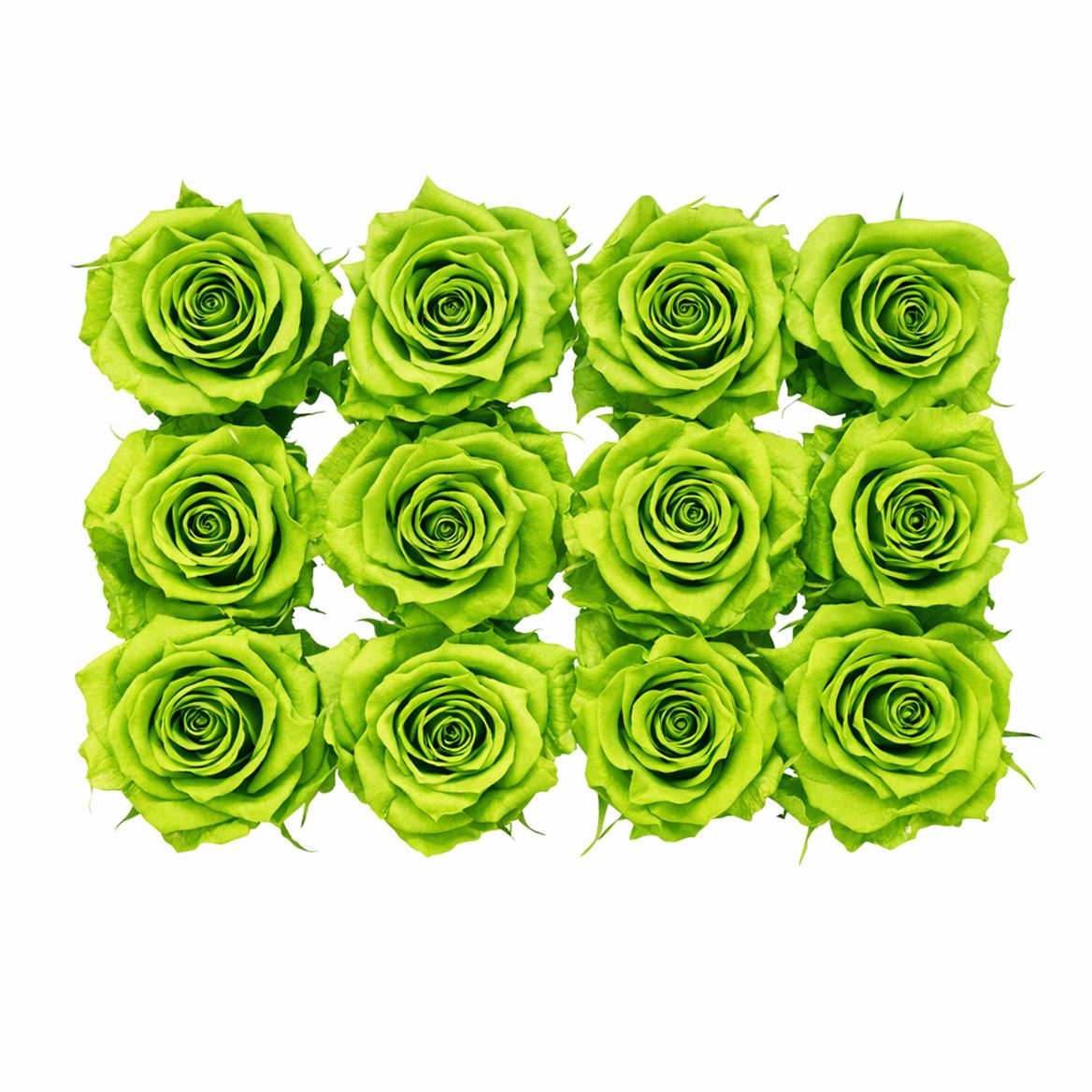 Ro Pres Mini Green Lime