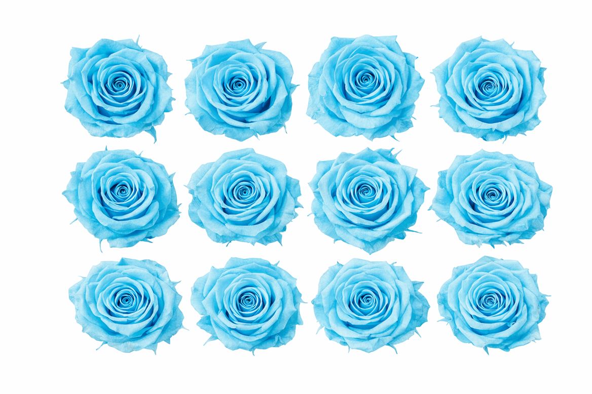 Ro Pres Mini Cyan