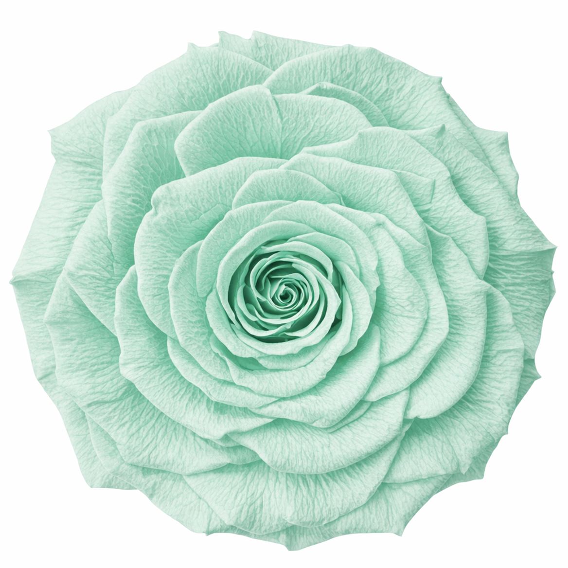 Ro Pres Xl Green Mint