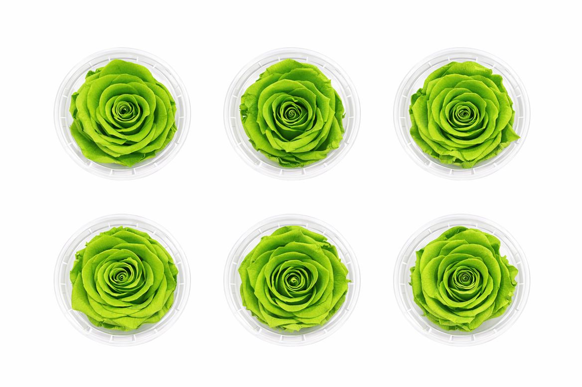 Ro Pres Classic Green Lime