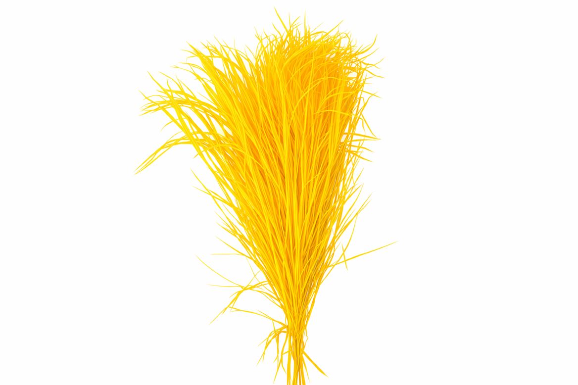 Pres Phoenix 10pc Yellow Bunch
