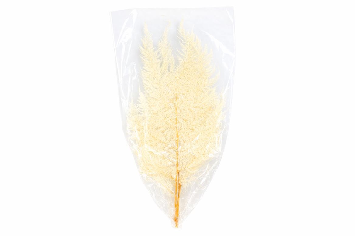 Pres Rainbow Leaves Bleached 10pc Bunch