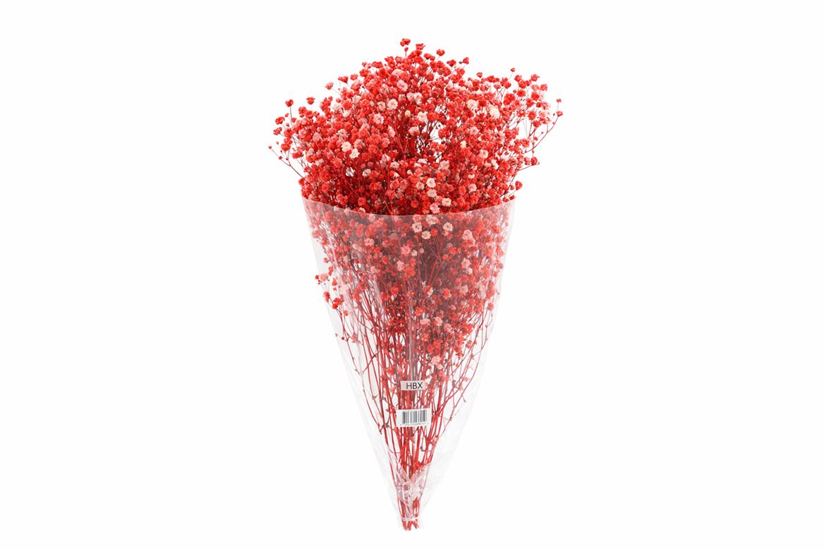 Pres Gyps Red Bunch