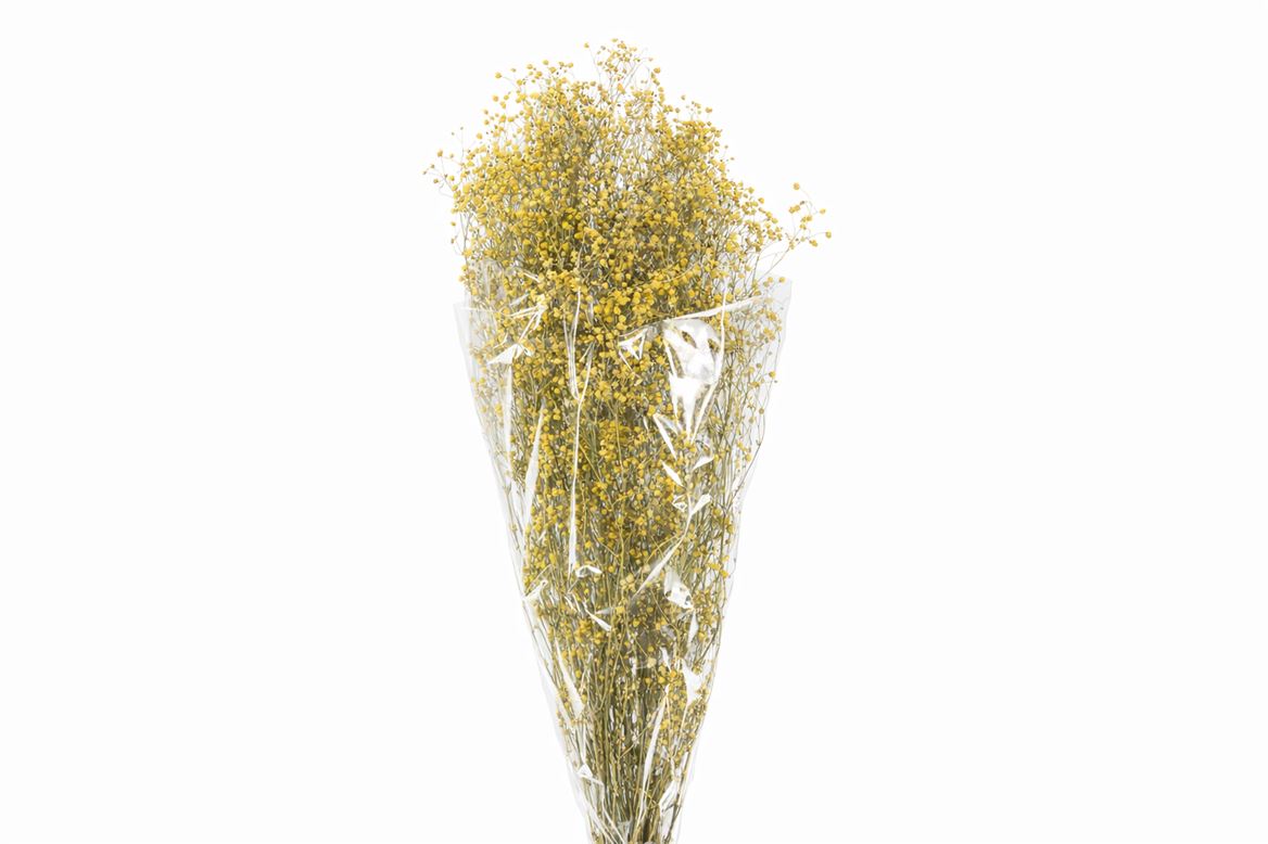 Pres Gyps Dusty Yellow Bunch