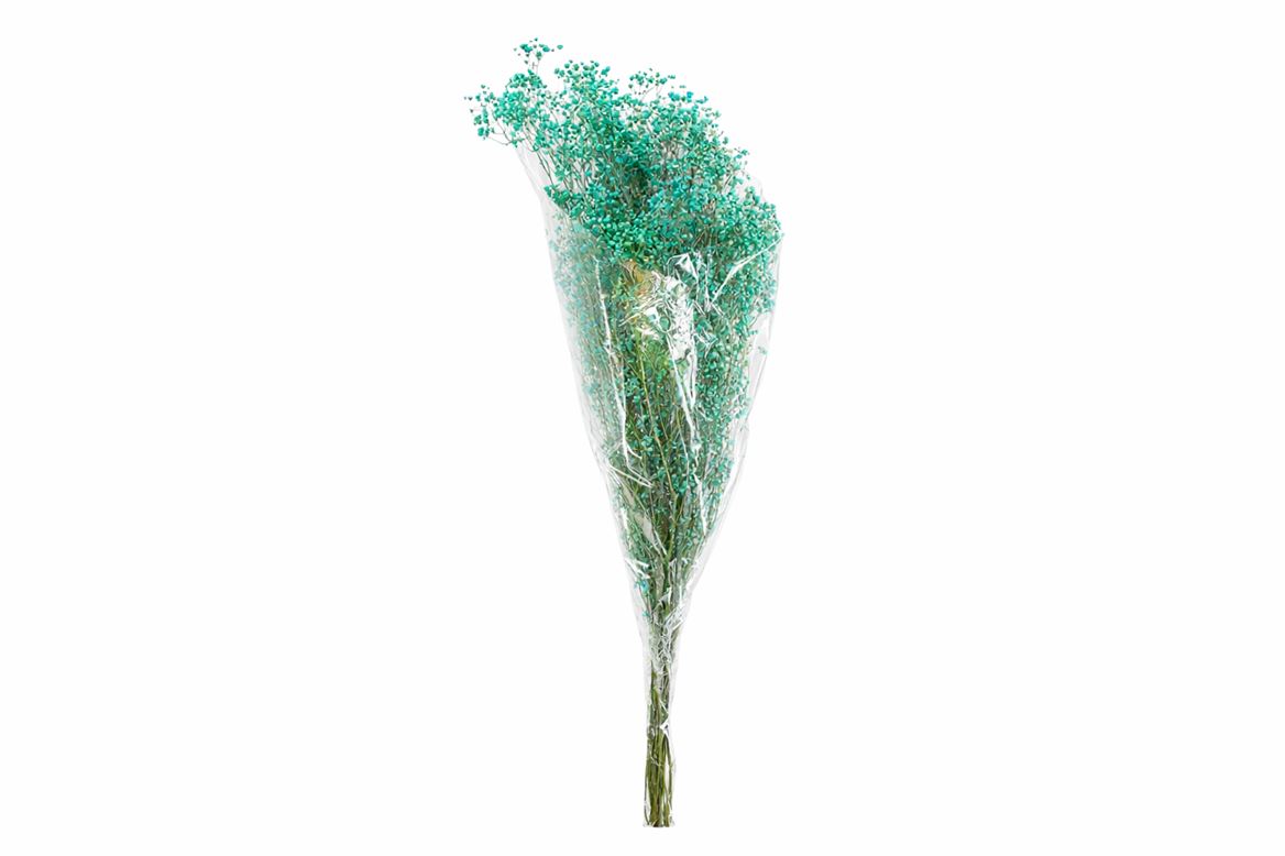 Pres Gyps Dusty Aqua Blue Bunch