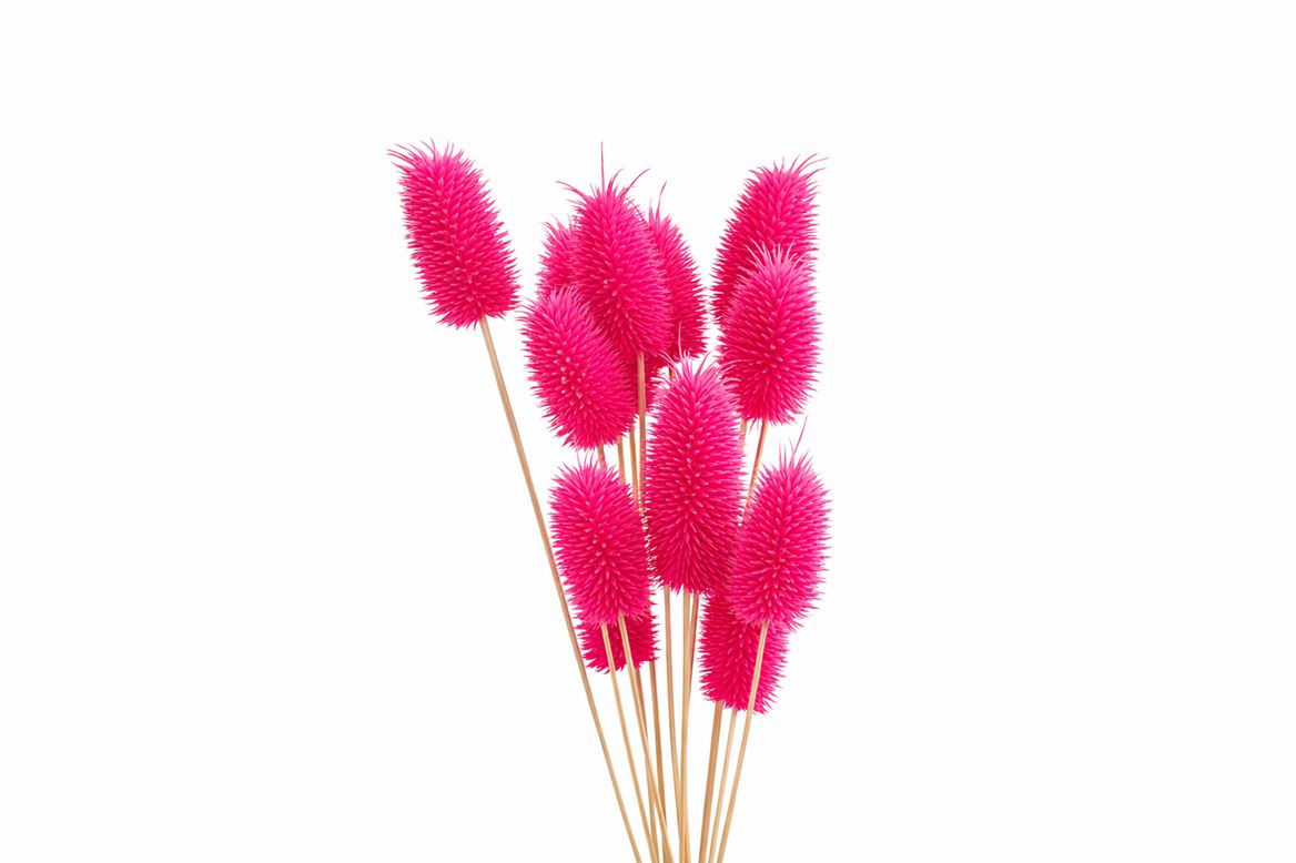 Pres Cardo Mini Roze 12pcs Bunch