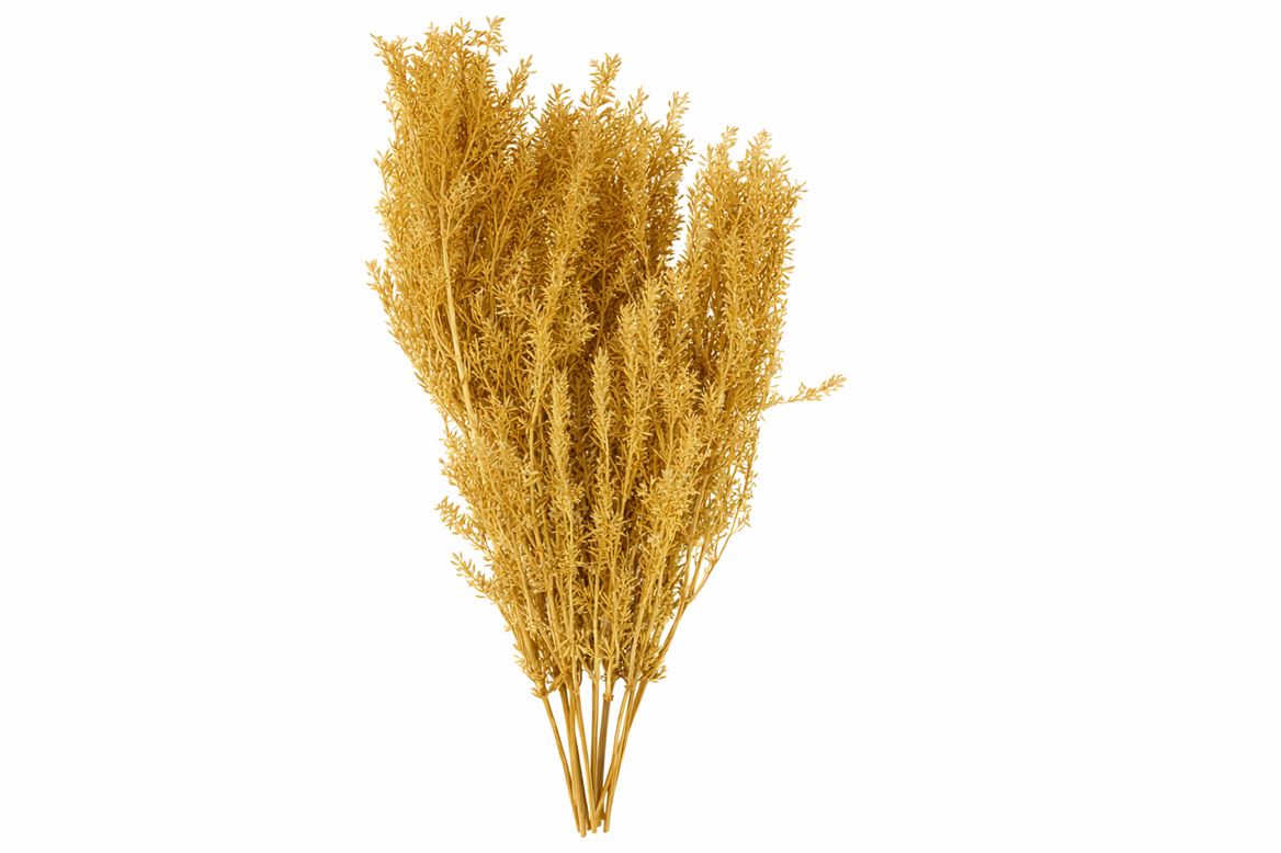 Dried Umbr. Sedge Sm. Leaf Natural Bunch