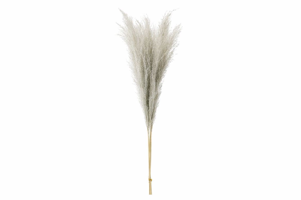 Dried Stipha Feather Grey Large Bunch