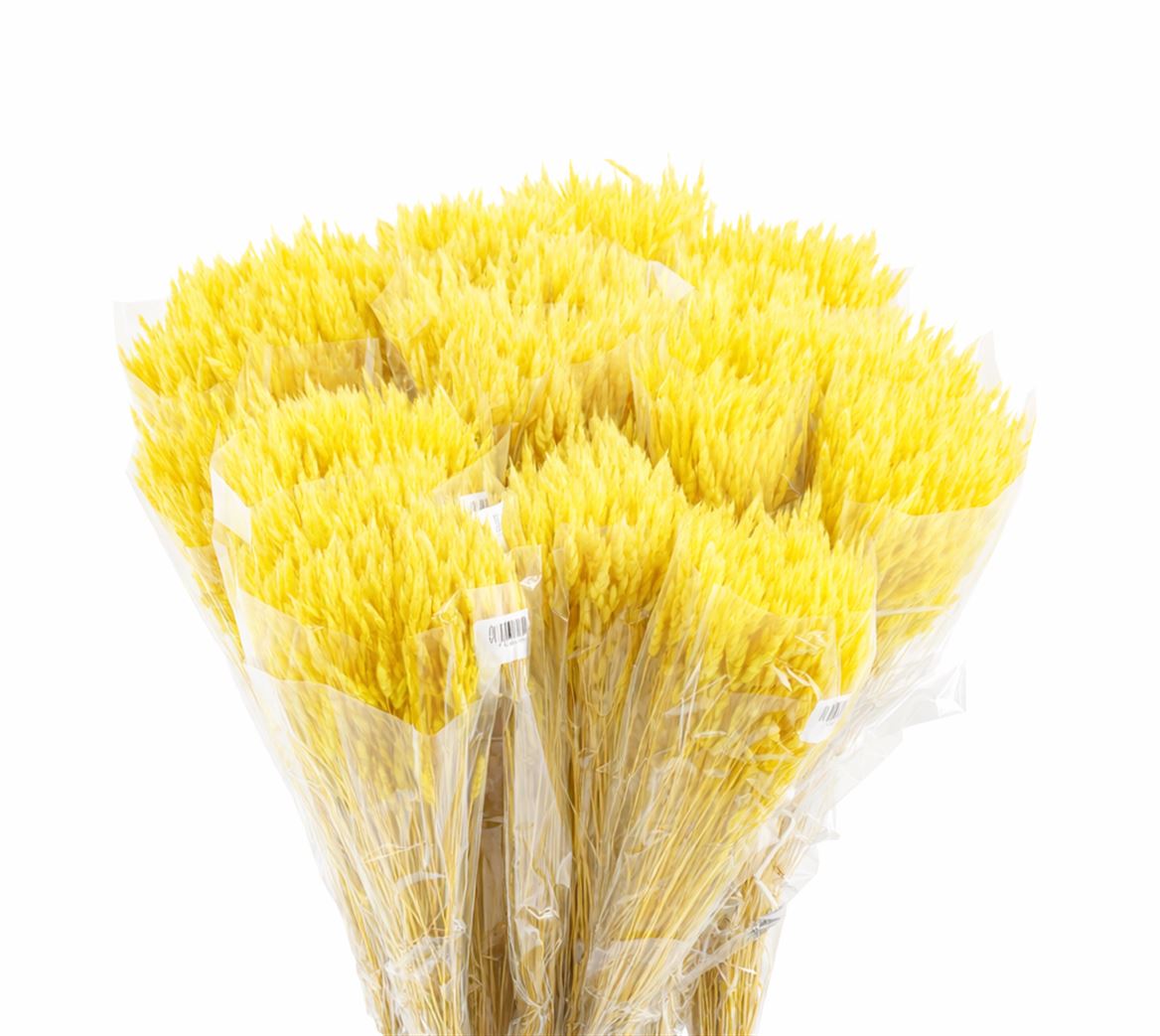 Dried Silk Worms Extra Yellow Bunch