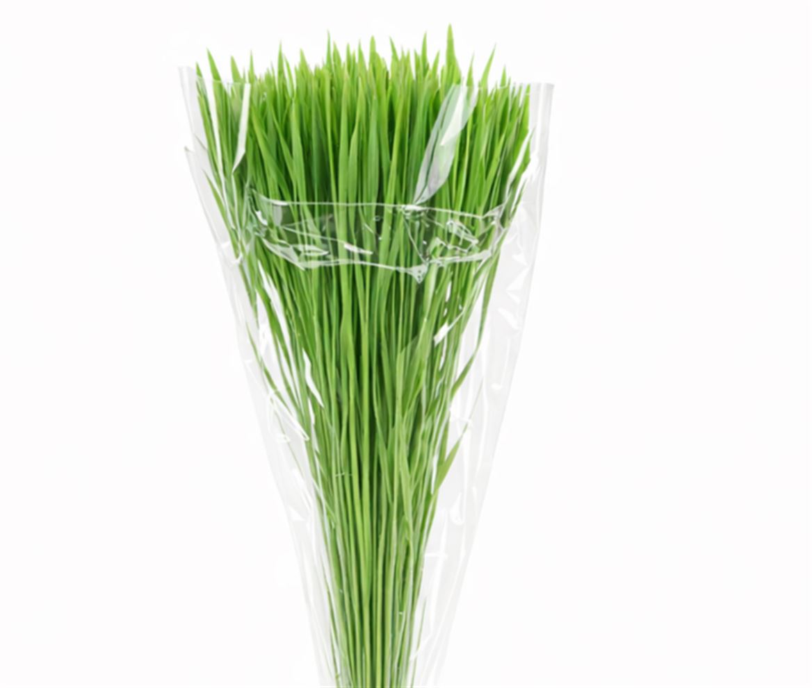 Dried Silk Worms Extra Green Bunch