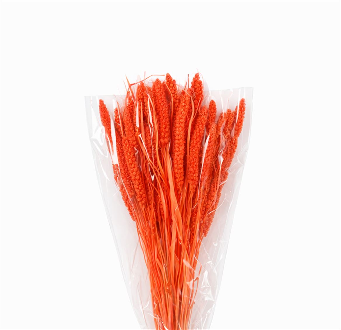 Dried Setaria Italica Pink Bunch