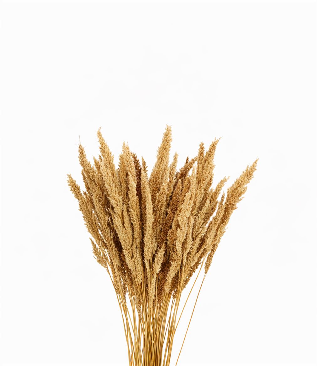 Dried Pinion Grass Natural Bunch