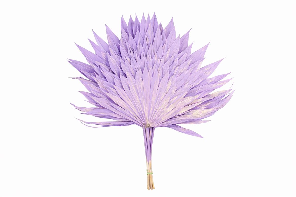 Dried Palm Sun 6pc Milka Bunch