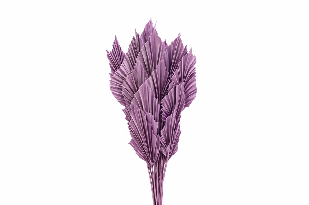 Dried Palm Spear 10pc Milka Bunch