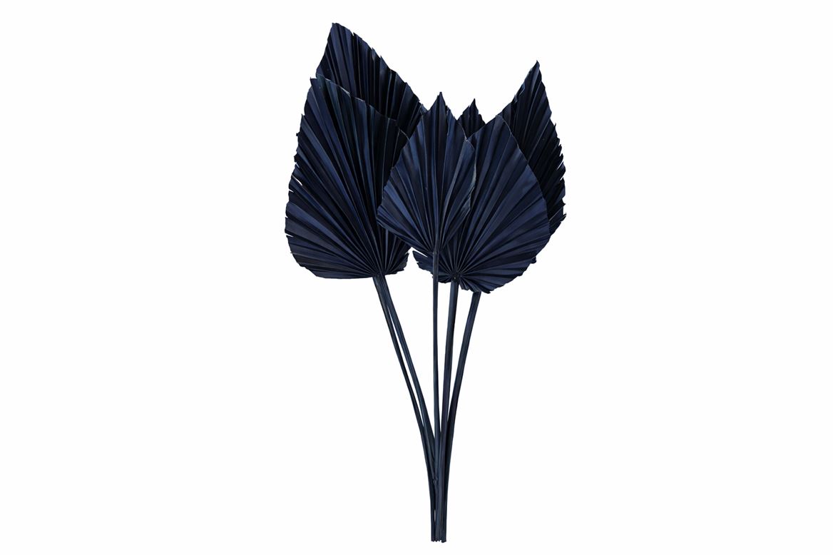 Dried Palm Spear 10pc Dark Blue Bunch