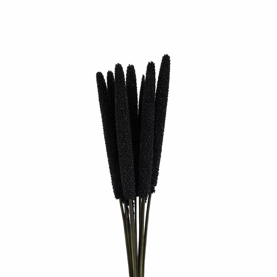 Dried Babala 10pc Black Bunch Slv
