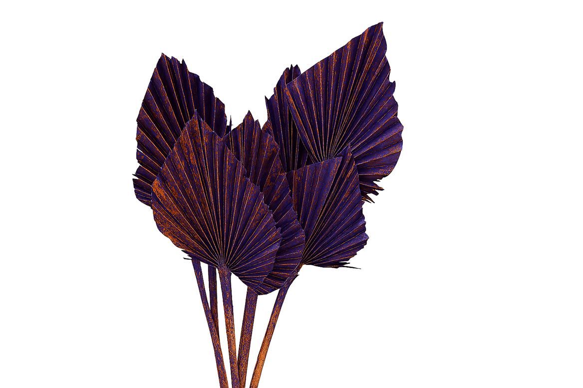 Dried Artz Palm Spear 10pc Vermeer Bunch