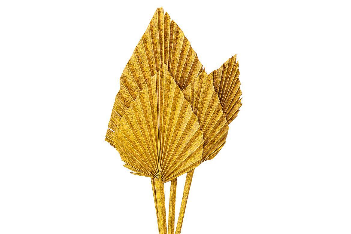 Dried Artz Palm Spear 10pc Gaugain Bunch