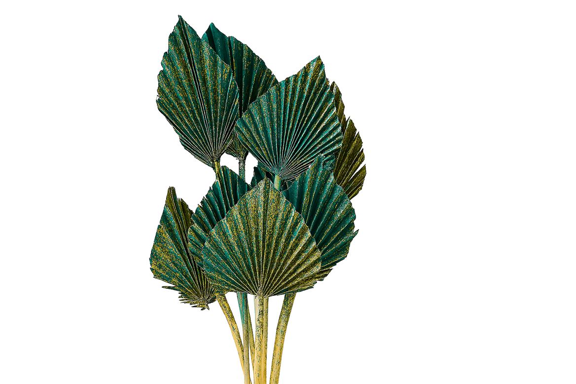 Dried Artz Palm Spear 10pc Van Gogh Bunch