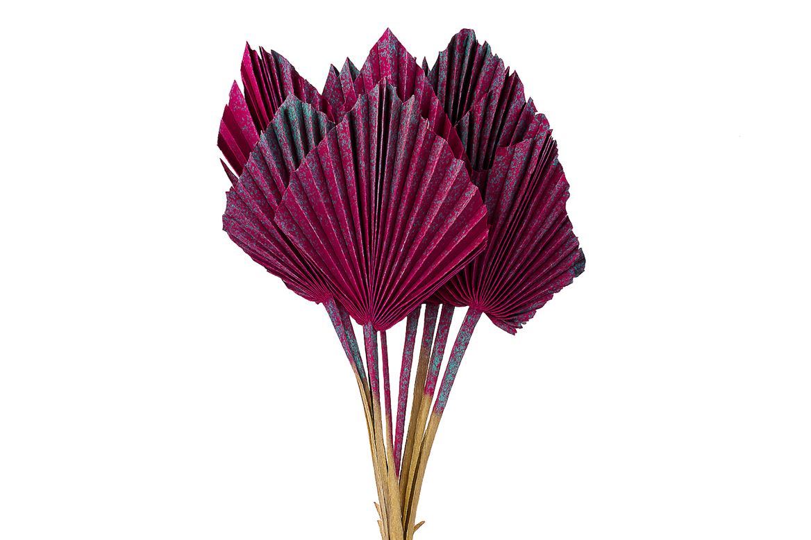 Dried Artz Palm Spear 10pc Rubens Bunch