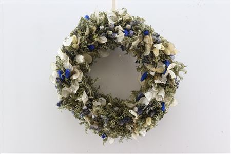 Wr Blue Delight 40cm Naturel