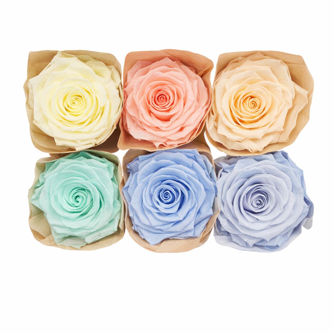 Ro Pres Classic Mix Pastel