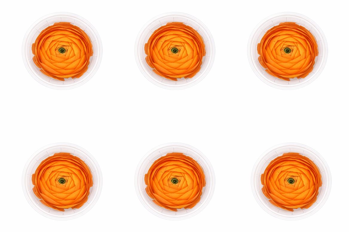 Ran Pres Orange