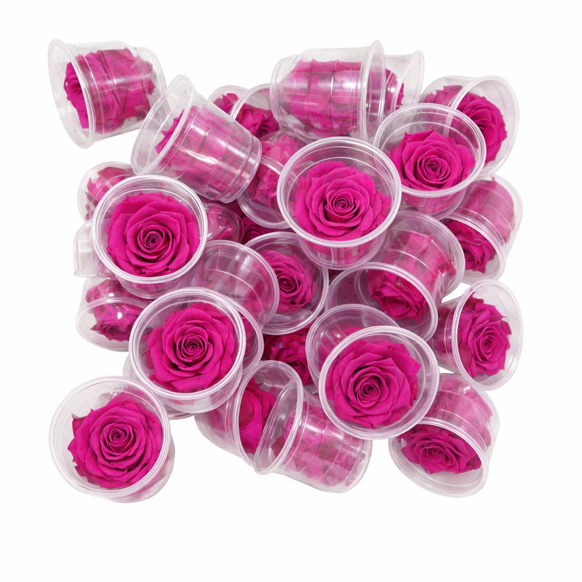 Ro Pres Medium Fuchsia