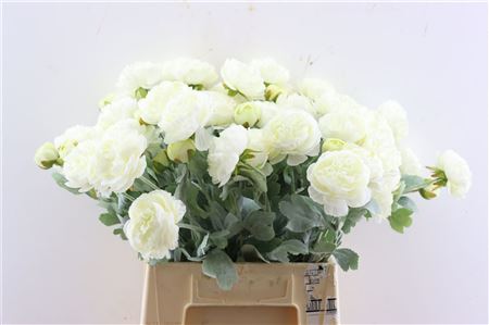 Articifial Stem Ranunculus White