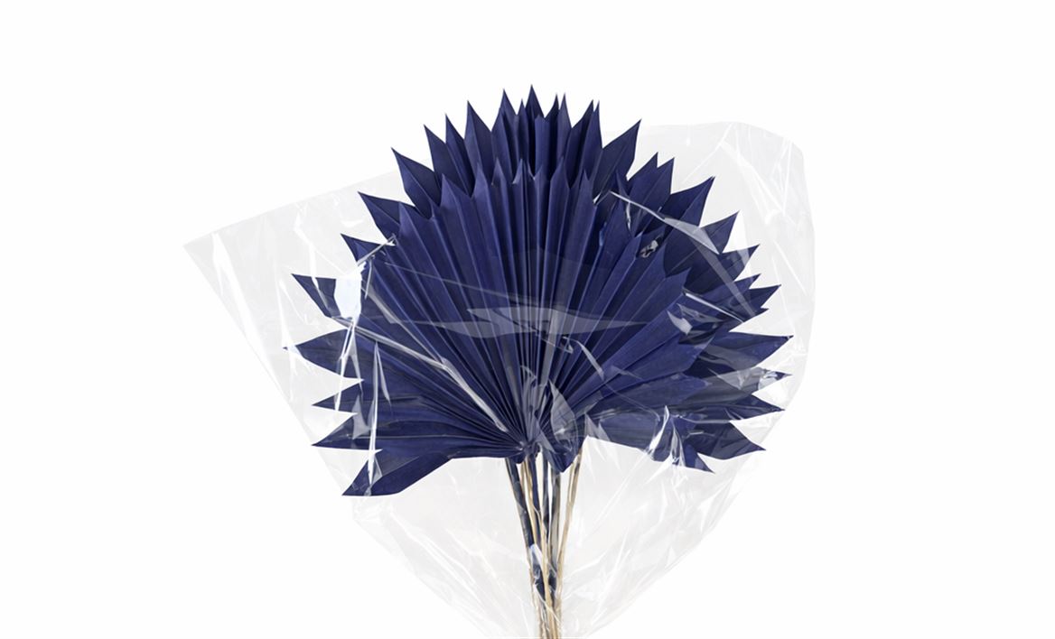 Dried Palm Sun 6pc Dark Blue Bunch