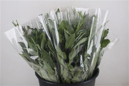 Boeket Aroma Mix P/b