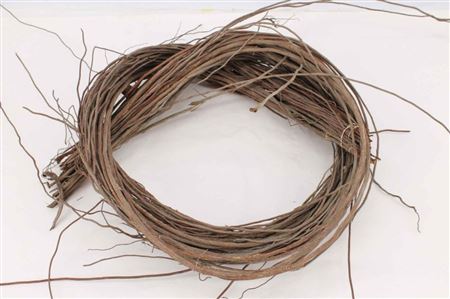 Droog Monstera Air Roots