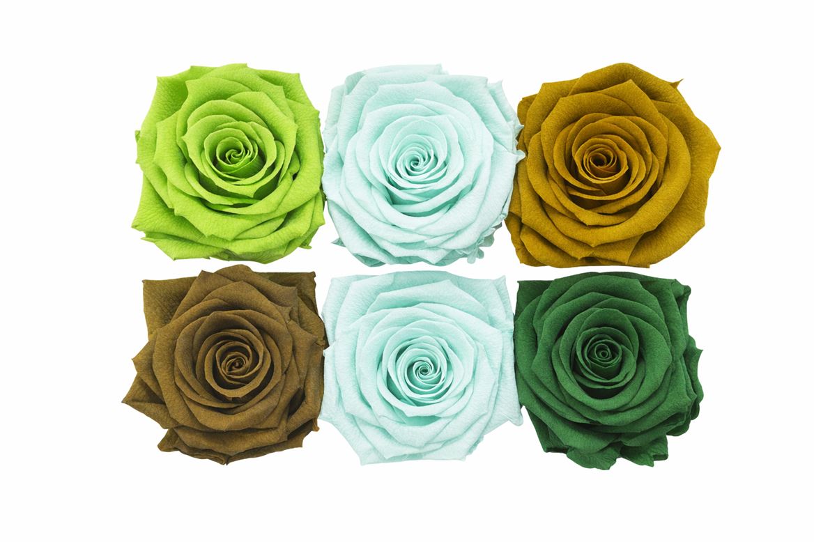 Ro Pres Classic Mix Green
