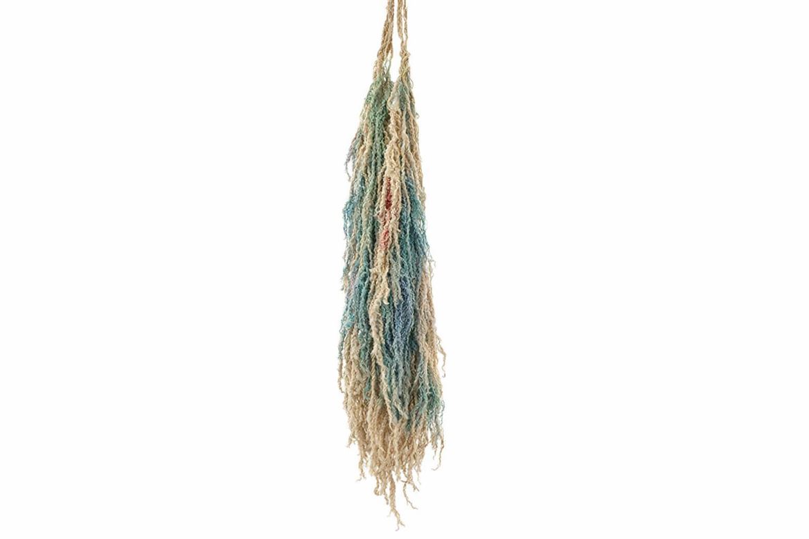Pres Amaranthus Caud Lolita Bunch
