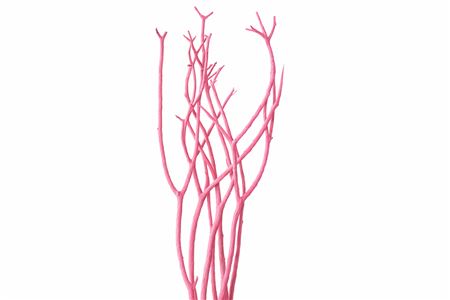 Mitsumata Flaked Light Pink 3pc Bunch