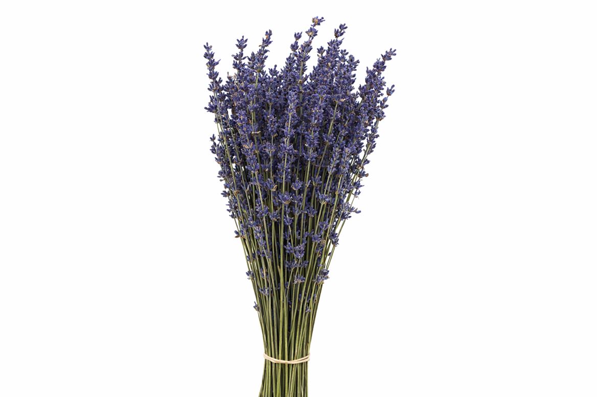 Dried Lavendel Super Blue 100gram Bunch