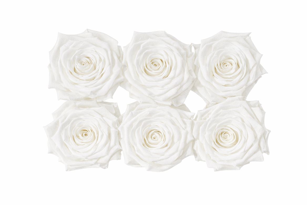 Ro Pres Classic White