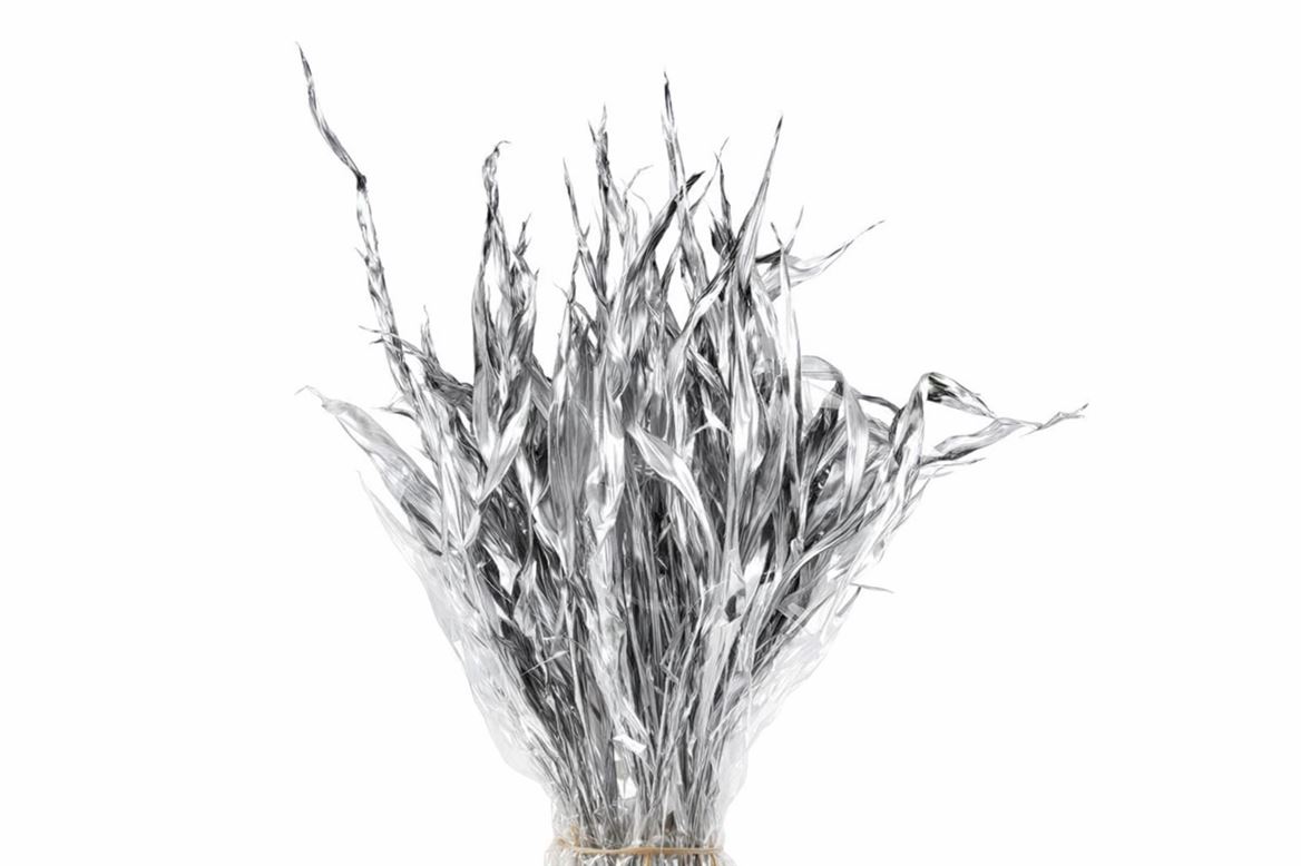 Dried Strelitziablad Silver P Stem