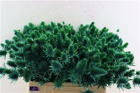 Eryn Kbh Gl Metallic Green Stem