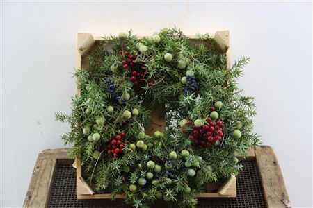 Wr Jeneverbes Christmas 30cm