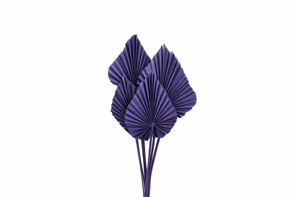 Dried Palm Spear 10pc Milka Bunch Slv