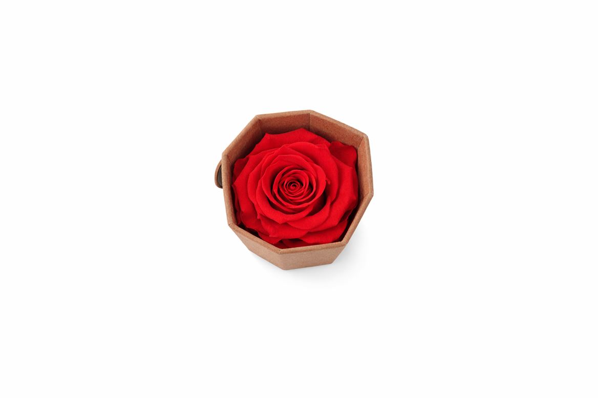 Ro Pres Medium Scarlet