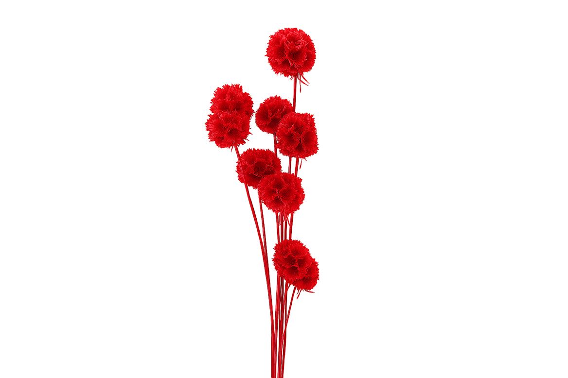 Pres Scabiosa 10pc Red Bunch