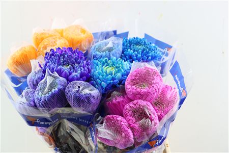 Chr G Kbh Tinted Mix