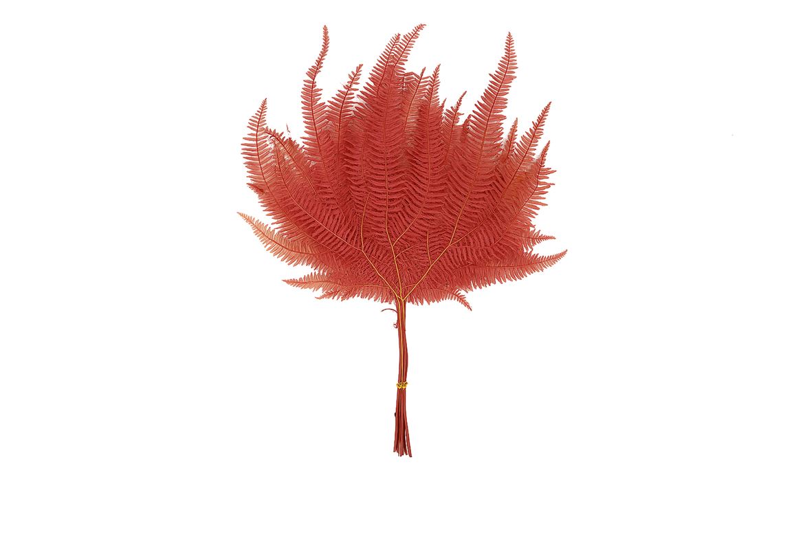 Pres Bracken Fern Pink 10pcs Bunch