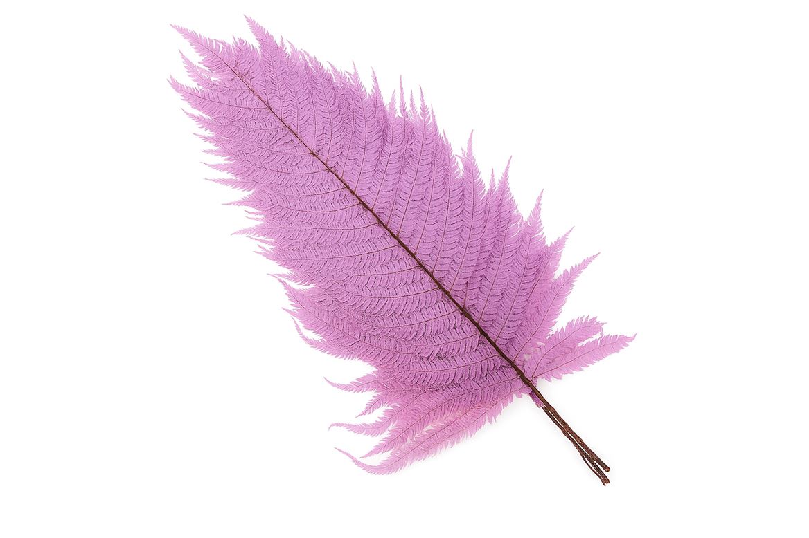 Pres Leather Fern Lavender 10pcs Bunch