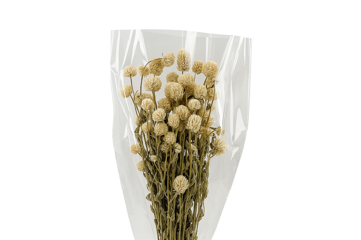 Dried Gomphrena White 100gr Bunch