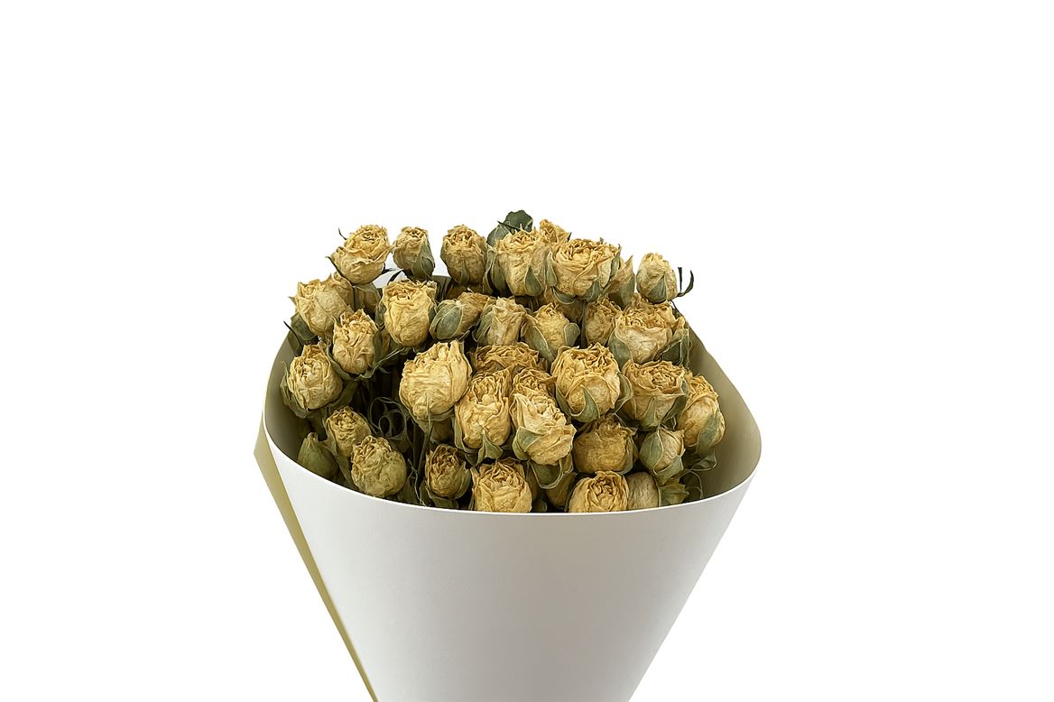 Dried Roses Spray White 100gr Bunch