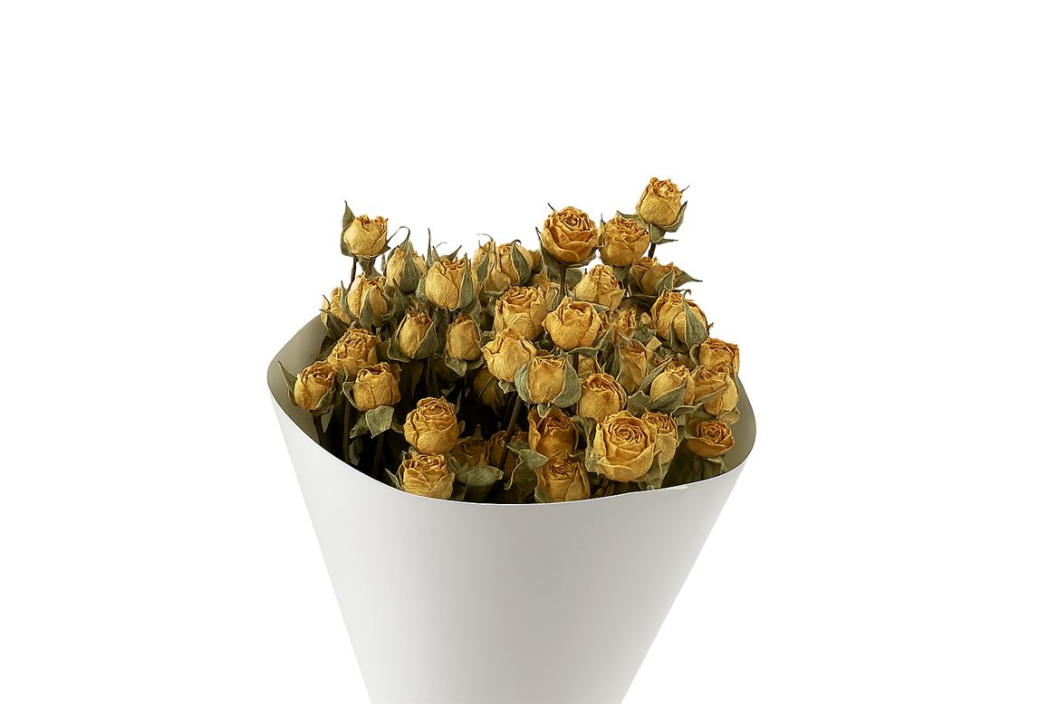 Dried Roses Spray Yellow 100gr Bunch
