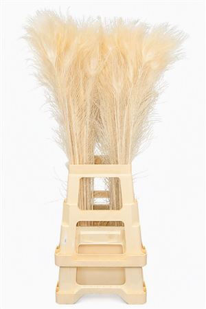 Feather Peacock L-85